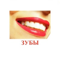 Карточки Домана "Части тела" - «globural.ru» - Нижний Новгород