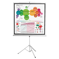 Экран на штативе DSKD-1104 - «globural.ru» - Нижний Новгород