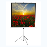 Экран на штативе DSKD-1105  - «globural.ru» - Нижний Новгород