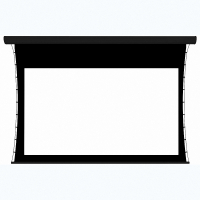 Экран настенный с электроприводом DSTPX-16916 - «globural.ru» - Нижний Новгород