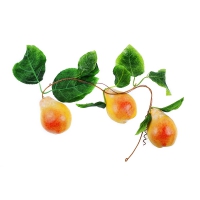 Муляж "Ветка груши" - «globural.ru» - Нижний Новгород