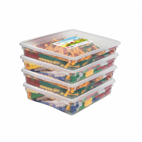 Набор для конструирования «Фанкластик: весь мир в руках твоих 4 (4-5 лет)» - «globural.ru» - Нижний Новгород