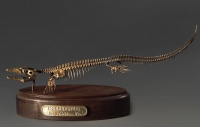 Модель скелета мозазавра Mosasaurus - «globural.ru» - Нижний Новгород