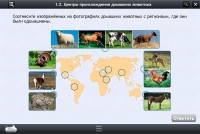 Интерактивные курсы. Биология 7 класс. Расширенный - «globural.ru» - Нижний Новгород