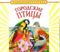 CD "Аудиоэнциклопедия. Городские птицы" - «globural.ru» - Нижний Новгород