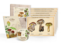 Комбинированное наглядное пособие «Грибы» - «globural.ru» - Нижний Новгород