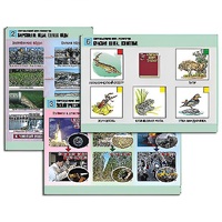 Комплект таблиц для  начальной школы "Окружающий мир. Экология" - «globural.ru» - Нижний Новгород