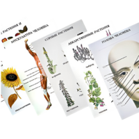 Таблицы по природоведению 1-3 класс - «globural.ru» - Нижний Новгород