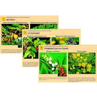 Гербарий фотографический "Ядовитые растения" - «globural.ru» - Нижний Новгород