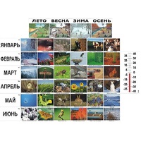 Фенологические наблюдения - «globural.ru» - Нижний Новгород