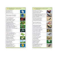 Комплект карточек (10) "Обучающий калейдоскоп. Природа" - «globural.ru» - Нижний Новгород