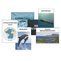 Модель-аппликация "Океаны. Знакомство" (ламинированная) - «globural.ru» - Нижний Новгород