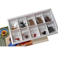 Коллекция "Плоды сельскохозяйственных растений" (вариант 2) - «globural.ru» - Нижний Новгород