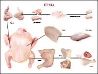Правила разделки мясных туш "Курица" 1000*1400 винил - «globural.ru» - Нижний Новгород