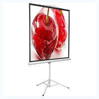 Экран на штативе DSKD-1106 - «globural.ru» - Нижний Новгород