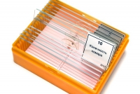 Набор микропрепаратов N10 - «globural.ru» - Нижний Новгород