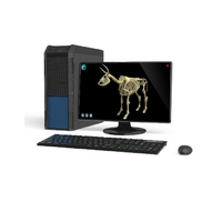 Макет масштабный «Скелет Коровы» Масштаб 1:2 - «globural.ru» - Нижний Новгород