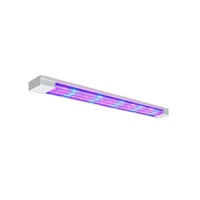 Фитолампа - «globural.ru» - Нижний Новгород