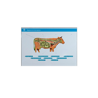 Стенд-планшет светодинамический "Изучение нервной системы сельскохозяйственных животных" со сменными панелями - «globural.ru» - Нижний Новгород