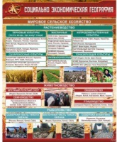 Стенд "Социально-экономическая география. Сельское хозяйство" - «globural.ru» - Нижний Новгород