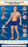 Электрифицированный стенд-тренажер "Травматизм и меры оказания первой помощи" - «globural.ru» - Нижний Новгород