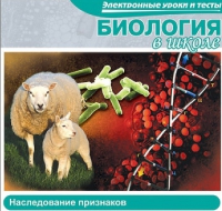 CD "Биология в школе. Наследование признаков" (электронные уроки и тесты) - «globural.ru» - Нижний Новгород