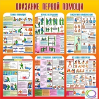 Стенд "Оказание первой помощи" - «globural.ru» - Нижний Новгород