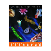 Зоология. Микрофотографии. (Цифровая база изображений) - «globural.ru» - Нижний Новгород