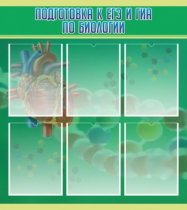 Стенд "Подготовка к ЕГЭ и ОГЭ по биологии" (вариант 1) - «globural.ru» - Нижний Новгород