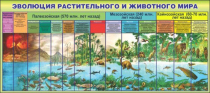 Стенд "Эволюция растительного и животного мира" - «globural.ru» - Нижний Новгород