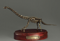 Модель скелета динозавра Brachiosaurus - «globural.ru» - Нижний Новгород