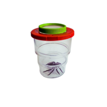 Коробка для изучения насекомых с лупой (вариант 2) - «globural.ru» - Нижний Новгород