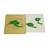 Строение лягушки с контуром - «globural.ru» - Нижний Новгород