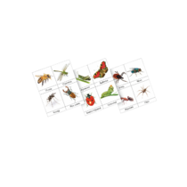 Фланелеграф "Насекомые" - «globural.ru» - Нижний Новгород