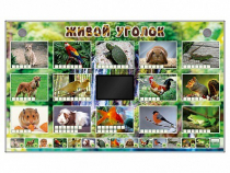 Комплект оборудования "Живой уголок" (животные) - «globural.ru» - Нижний Новгород
