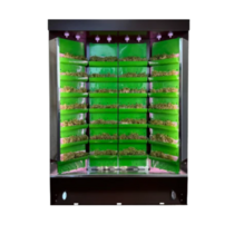 Вертикальная ферма "Моя Микрозелень" комплектация "Театро настольная" - «globural.ru» - Нижний Новгород