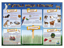 Стенд-уголок "Друзья наши меньшие" - «globural.ru» - Нижний Новгород