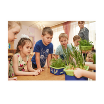 Обучающий комплект экологической направленности "Сити-фермер 2.0 Детский сад" 30 человек - «globural.ru» - Нижний Новгород