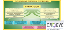 Стенд "Методы селекции и биотехнологии" - «globural.ru» - Нижний Новгород