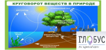 Стенд "Круговорот веществ" - «globural.ru» - Нижний Новгород