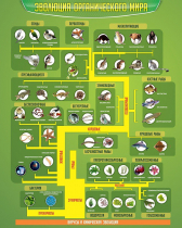 Стенд "Эволюция органического мира" - «globural.ru» - Нижний Новгород