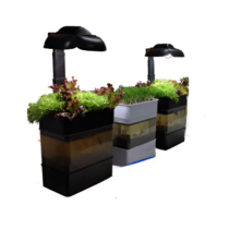 Учебная установка "Аквапоника"  - «globural.ru» - Нижний Новгород