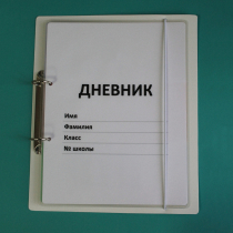 Дневник школьника (с полным набором карточек) - «globural.ru» - Нижний Новгород