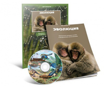 Электронное наглядное пособие «Эволюция» - «globural.ru» - Нижний Новгород