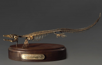 Модель скелета мозазавра Mosasaurus - «globural.ru» - Нижний Новгород
