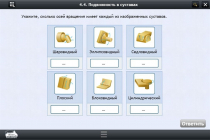Интерактивные курсы. Биология 8 класс. Базовый  - «globural.ru» - Нижний Новгород