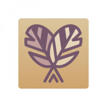 Тренажер-корректор зеркального письма “Почерк Леонардо” - «globural.ru» - Нижний Новгород