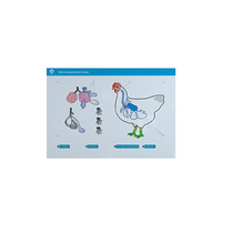 Стенд-планшет светодинамический "Изучение органов дыхания сельскохозяйственных животных" со сменными панелями - «globural.ru» - Нижний Новгород