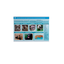 Стенд-планшет светодинамический «Острые отравления животных лекарственными препаратами» - «globural.ru» - Нижний Новгород