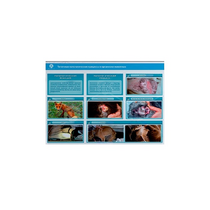 Стенд-планшет светодинамический "Изучение типических патологических процессов в организмах животных" - «globural.ru» - Нижний Новгород